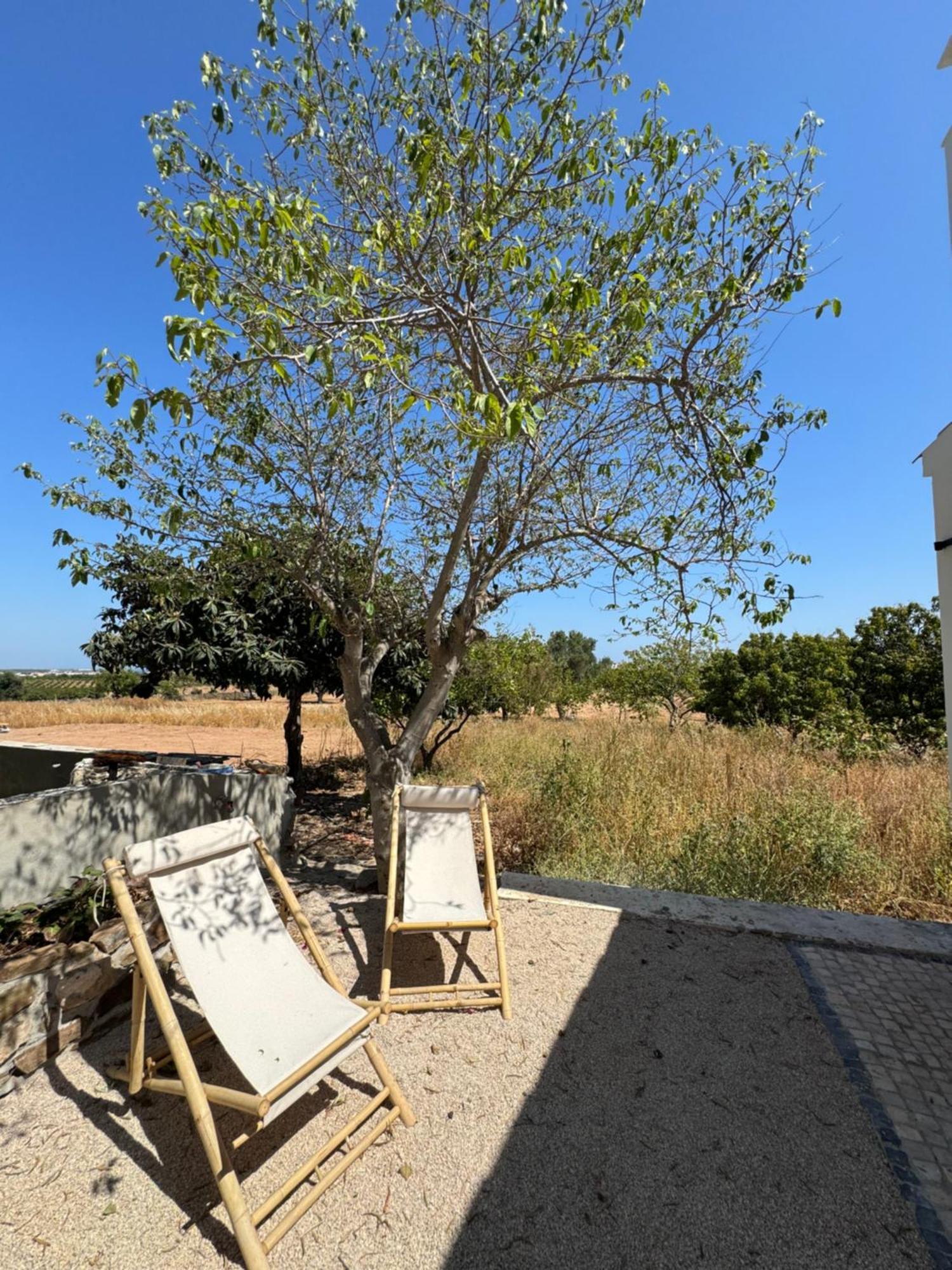 Quinta Castor Villa Vila Nova de Cacela Buitenkant foto