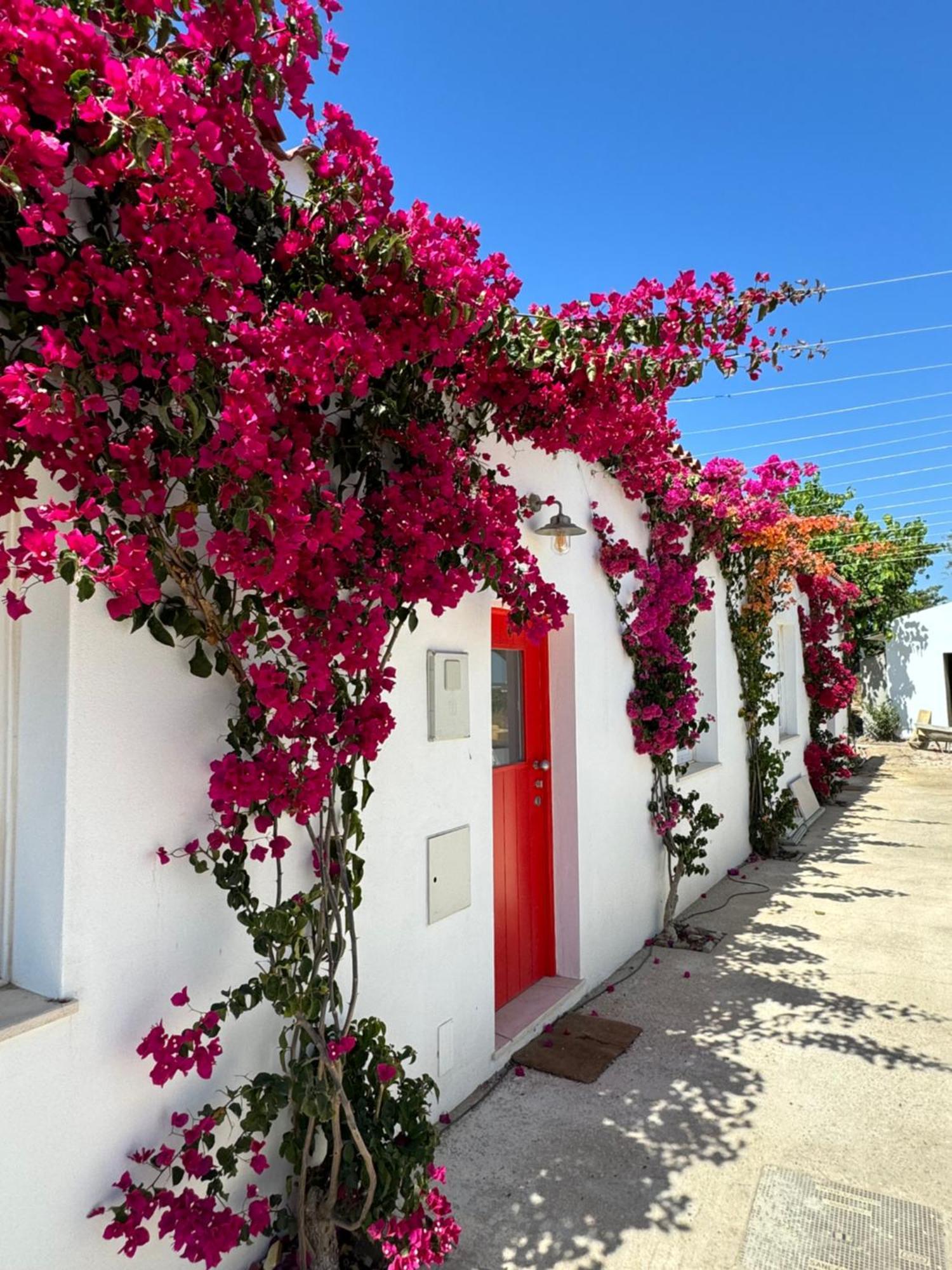 Quinta Castor Villa Vila Nova de Cacela Buitenkant foto