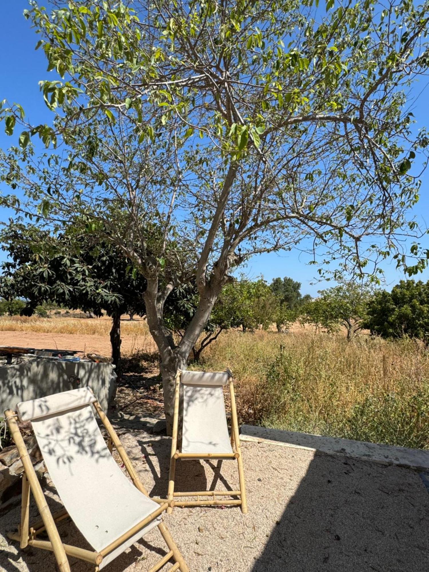 Quinta Castor Villa Vila Nova de Cacela Buitenkant foto