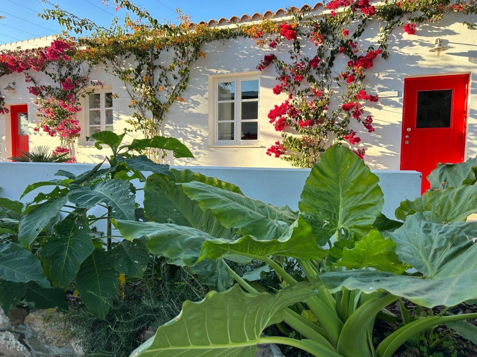Quinta Castor Villa Vila Nova de Cacela Buitenkant foto